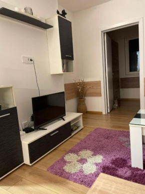 APARTMAN MIK NOVI SAD